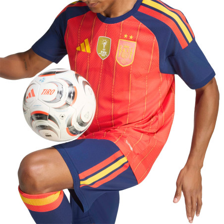 Maillot Espagne domicile authentique Winners 2026