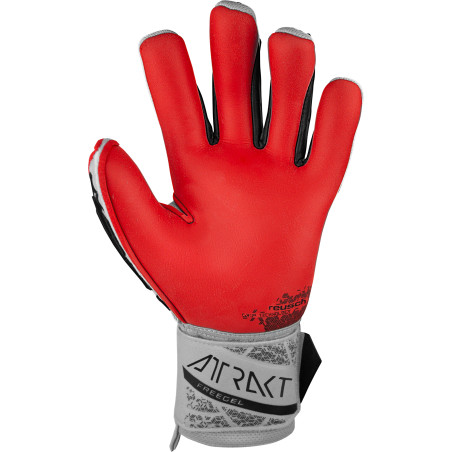Gants gardien Reusch Attrakt Freegel Gold x gris