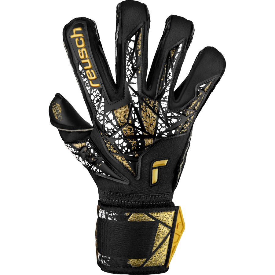 Gants gardien Reusch Attrakt Gold x Evolution noir