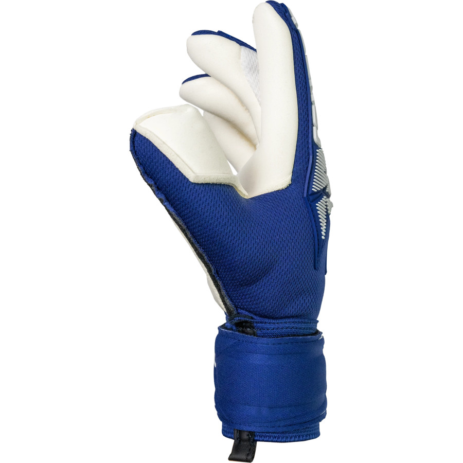 Gants gardien junior Reusch Attrakt Freegel Gold x Finger Support bleu