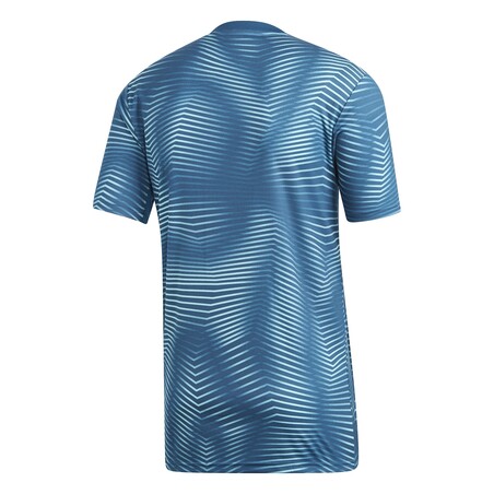 Maillot avant match Argentine bleu clair 2018/19