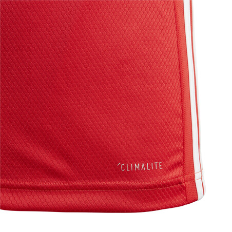 Maillot junior Benfica domicile 2019/20