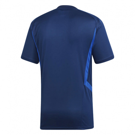 Maillot entraînement junior OL bleu 2019/20