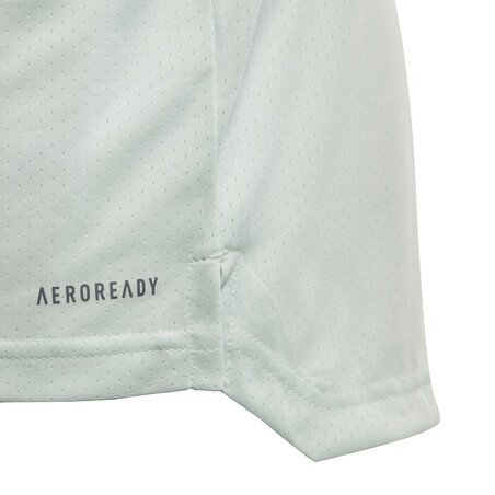 Maillot entraînement junior Espagne vert 2020