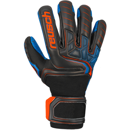 Gants Gardien Reusch Attrakt G3 Fusion Evolution bleu 2019/20