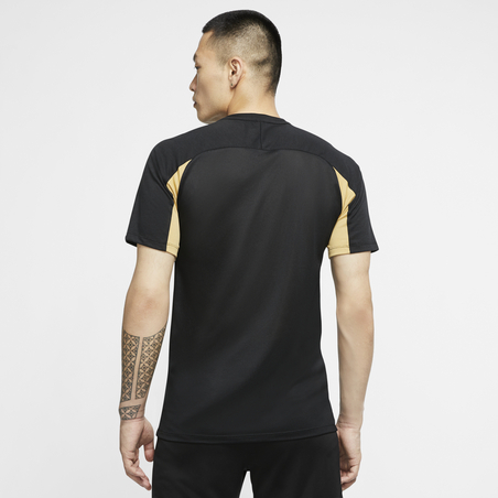 Maillot entraînement Nike Academy noir beige 2019/20