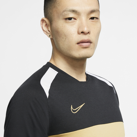 Maillot entraînement Nike Academy noir beige 2019/20