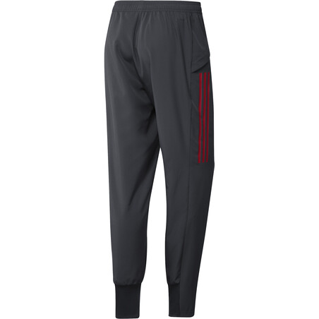 Pantalon entraînement Bayern Munich Europe gris rouge 2020/21