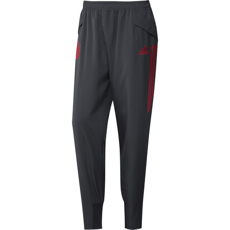 Pantalon entraînement Bayern Munich Europe gris rouge 2020/21