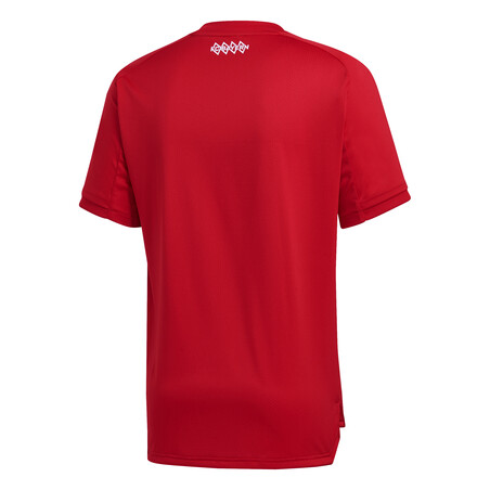 Maillot entraînement Bayern Munich rouge 2020/21