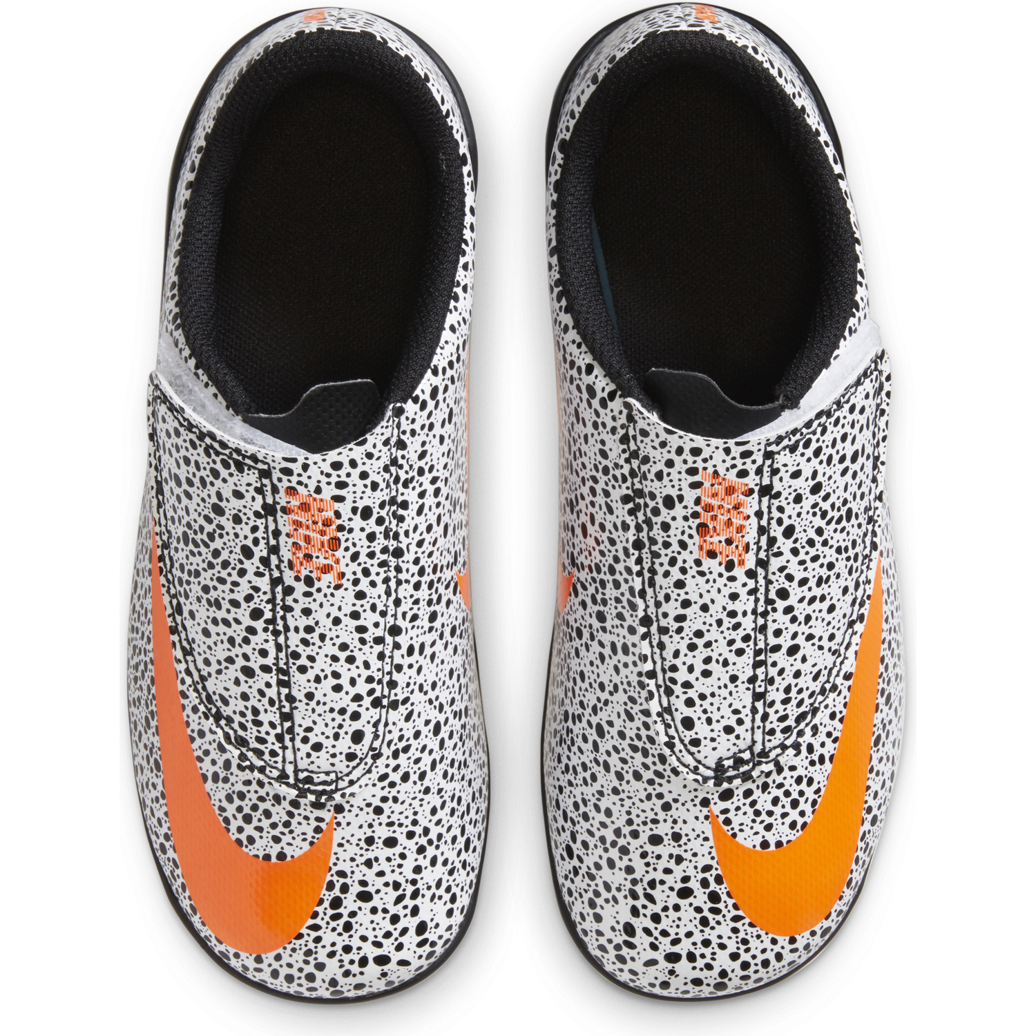 safari vapor 13