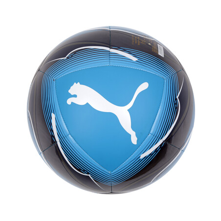 Ballon OM noir bleu 2020/21