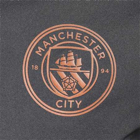 Maillot entraînement Manchester City gris cuivre 2020/21