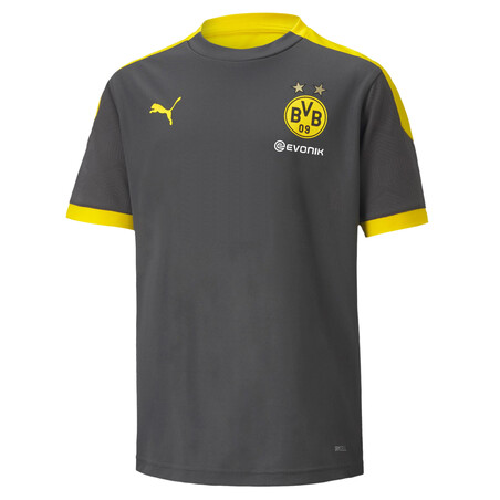 Maillot entraînement junior Dortmund gris 2020/21