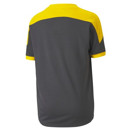 Maillot entraînement junior Dortmund gris 2020/21