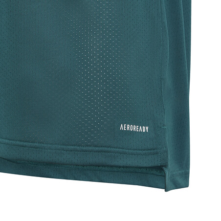 Maillot entraînement junior Bayern Munich vert 2020/21
