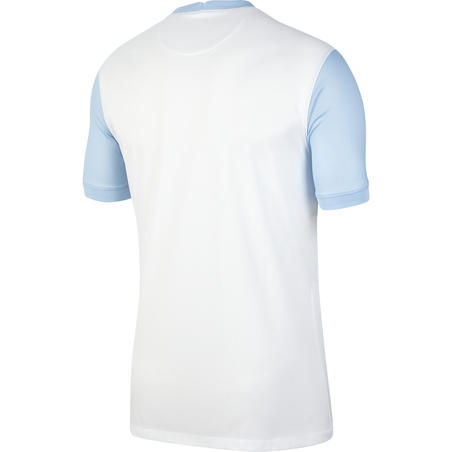 Maillot Slovénie domicile 2020