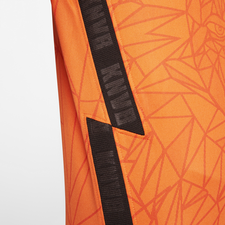 Maillot junior Pays Bas domicile 2020