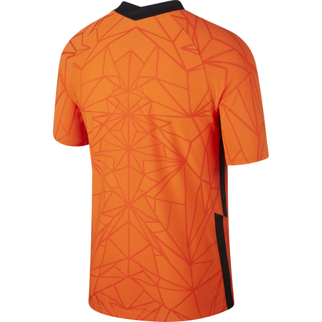Maillot Pays Bas domicile Authentique 2020