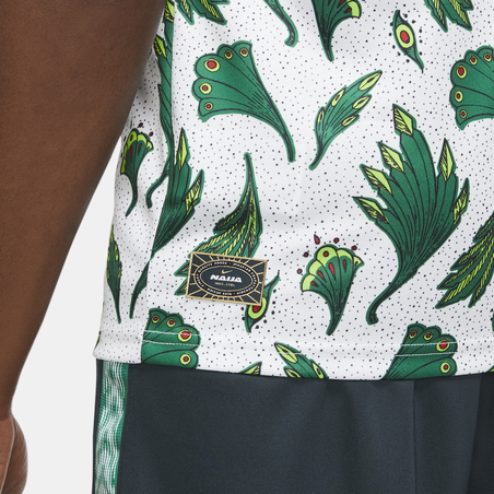Maillot avant match Nigéria vert blanc 2020/21
