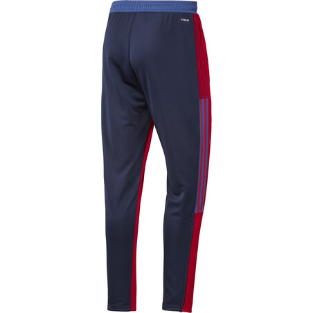 Pantalon survêtement Bayern Munich Human Race FC ÉDITION LIMITÉE