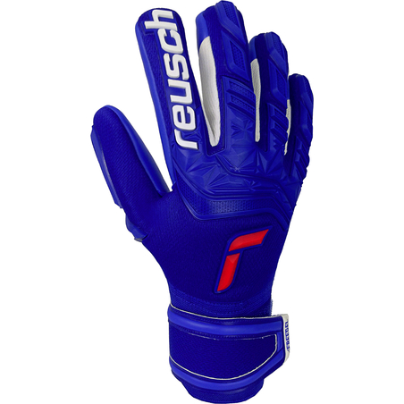 Gants gardien Reusch Attrakt Freegel Silver bleu