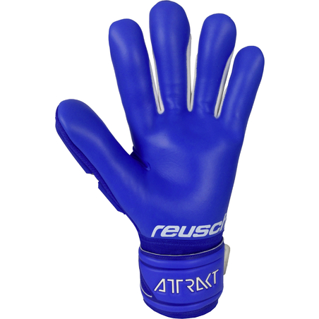 Gants gardien Reusch Attrakt Freegel Silver bleu