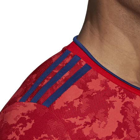 Maillot OL extérieur 2021/22 + flocage