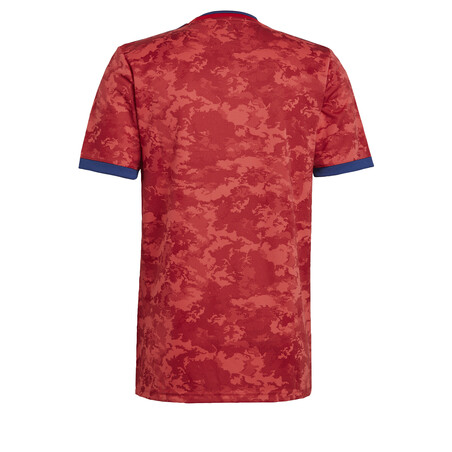 Maillot OL extérieur 2021/22 + flocage