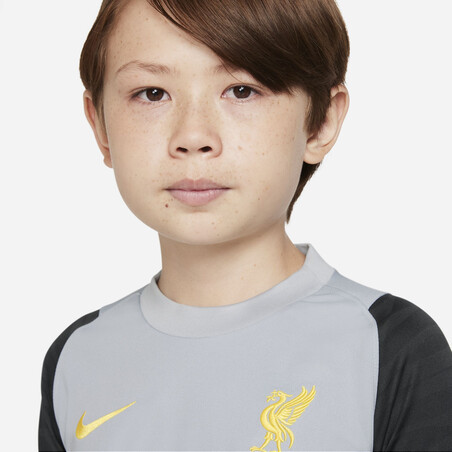 Maillot entraînement junior Liverpool Strike gris jaune 2021/22
