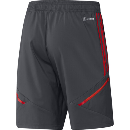 Short entraînement Bayern Munich gris rouge 2022/23