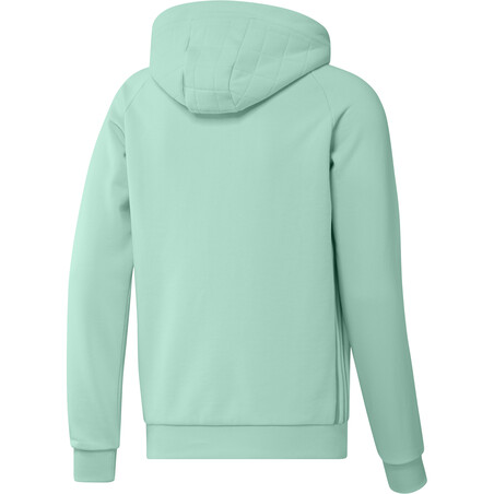 Sweat à capuche Atlanta vert 2022/23