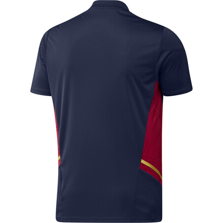 Maillot entraînement Ajax Amsterdam bleu rouge 2022/23