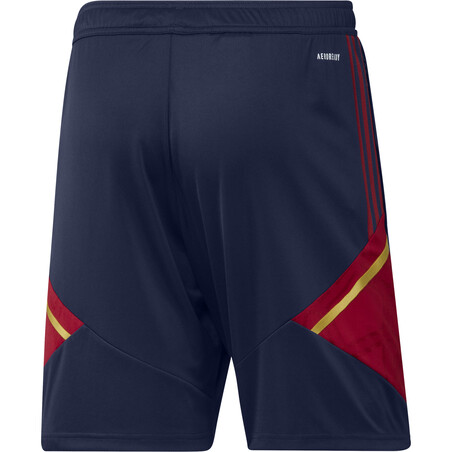 Short entraînement Ajax Amsterdam bleu rouge 2022/23