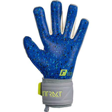 Gants gardien Reusch Attrakt Freegel Fusion gris bleu