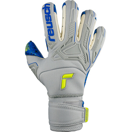 Gants gardien Reusch Attrakt Freegel Fusion Ortho-Tec Goaliator gris bleu