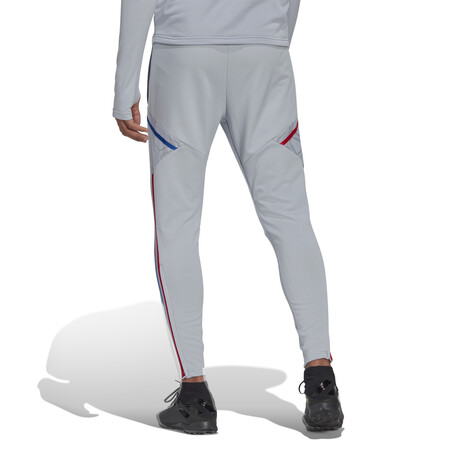 Pantalon survêtement OL gris 2022/23